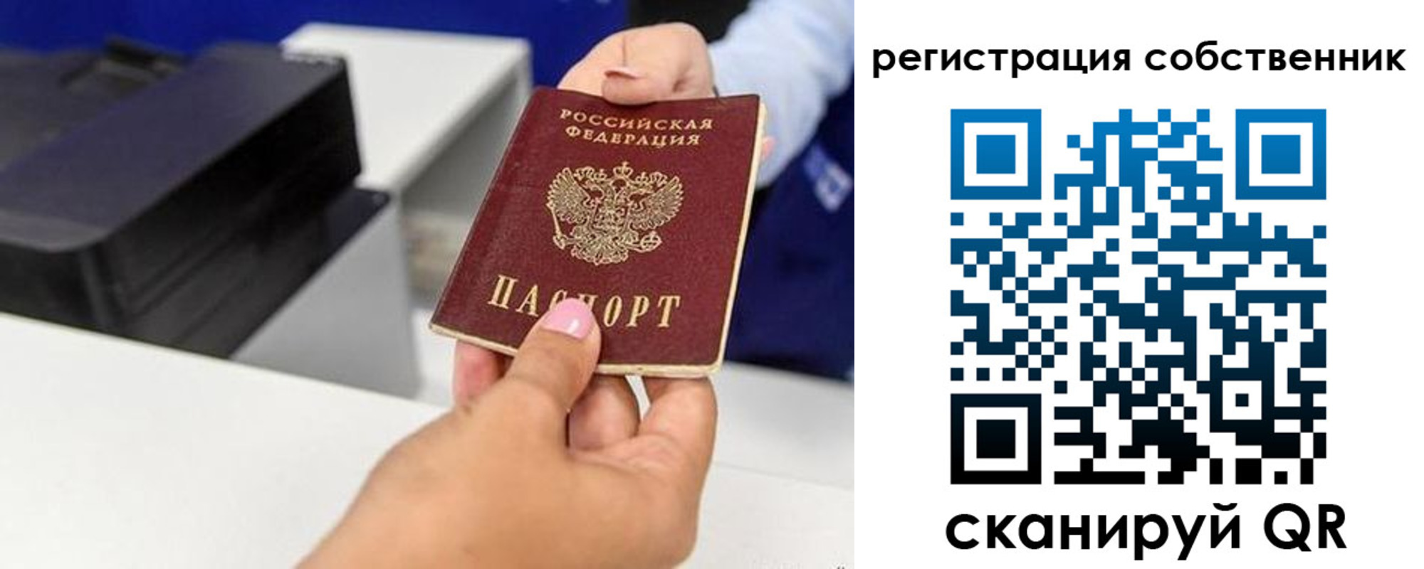 прописка для школы в Яхроме